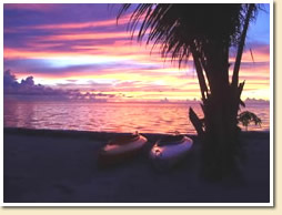 Kayak & Coco tree, sunset